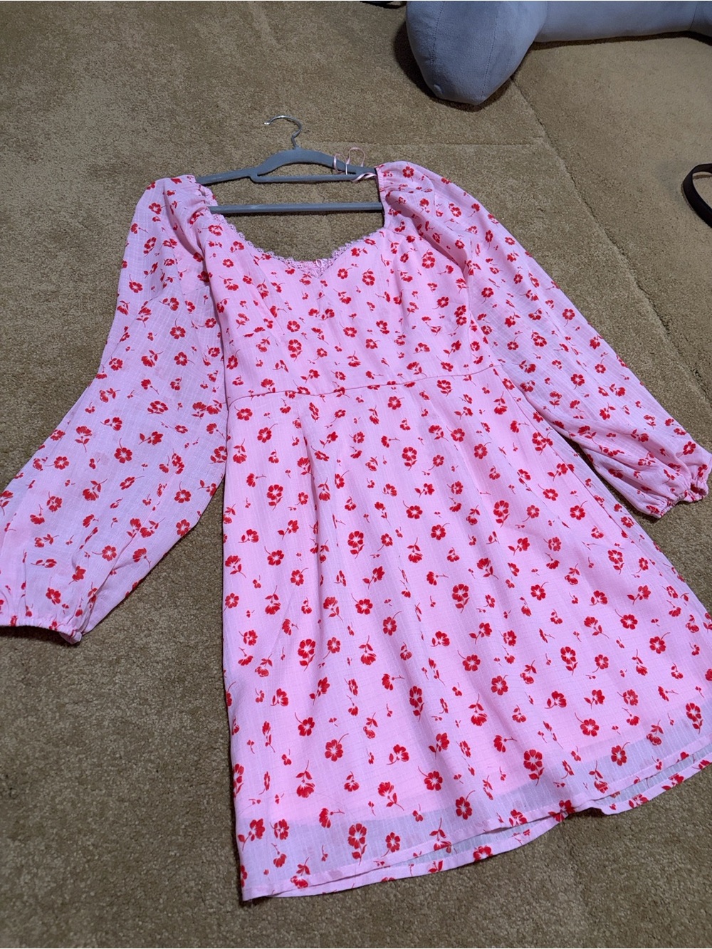 Francesca's Collections Pink Mini Dress with Red Floral Print
